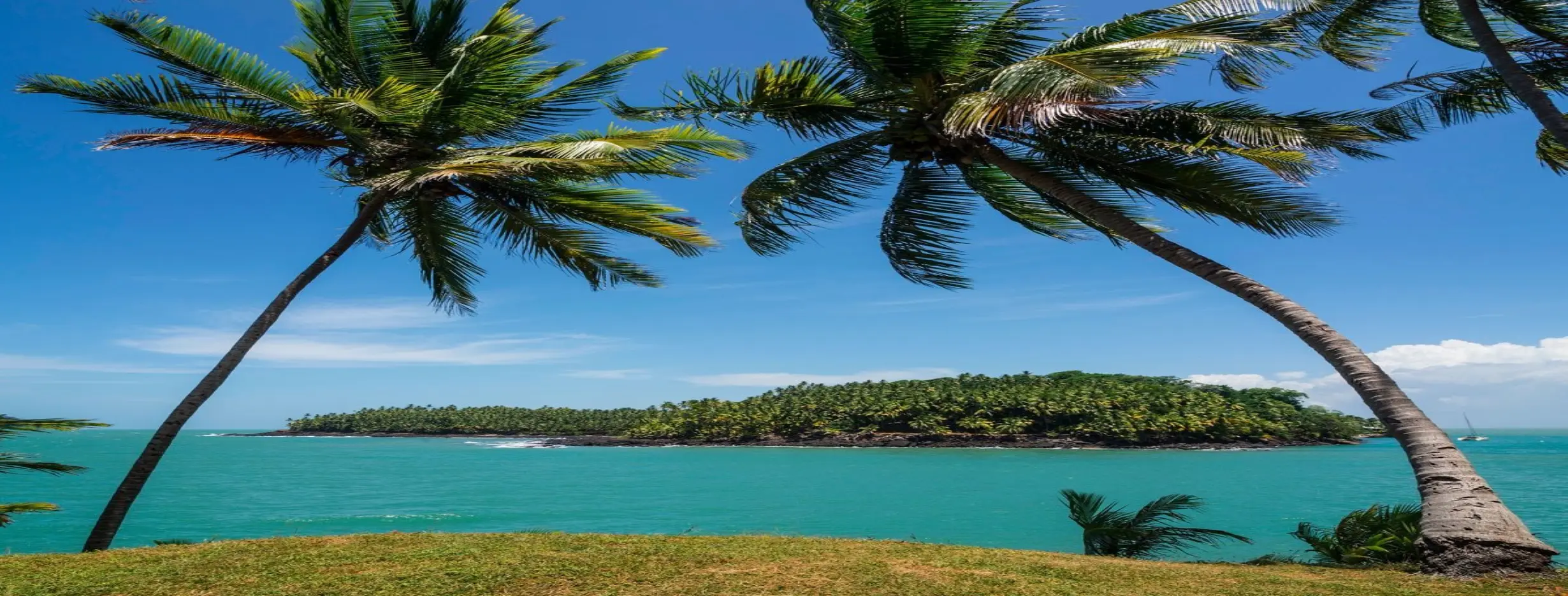 Image for Island Escape